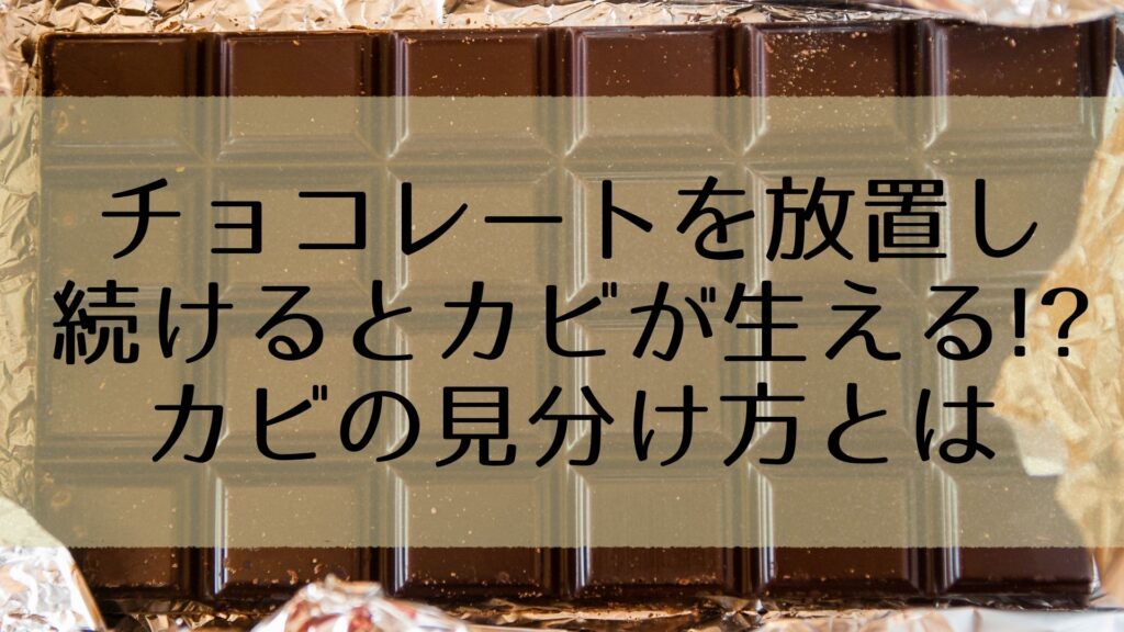 チョコレートを放置し続けると白いカビが生える その見分け方とは さらりきらりと良き暮らし